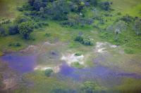 Okavango Delta